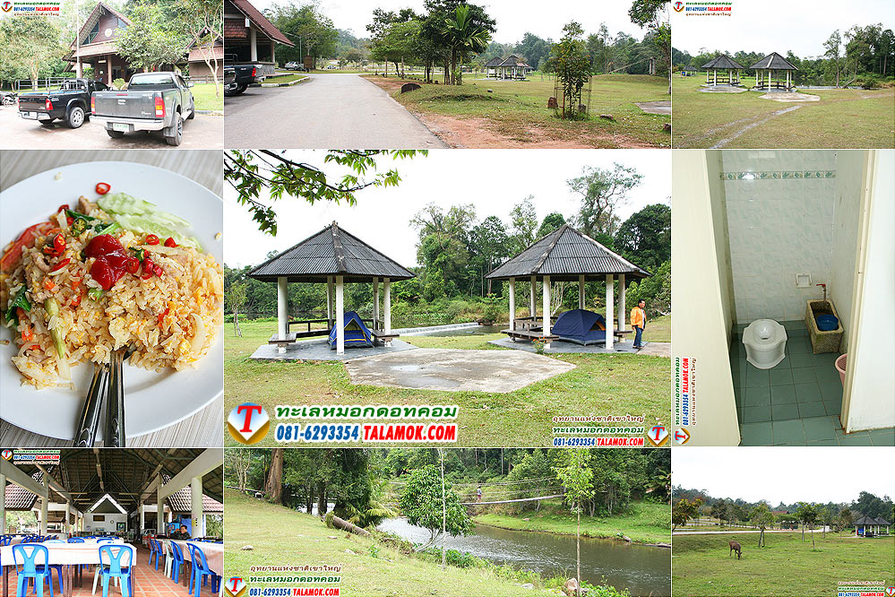ʶҹ���ҧ�繷��ӵФͧ �ط�ҹ��觪ҵ����˭� ����ͻҡ��ͧ �ѧ��Ѵ����Ҫ����